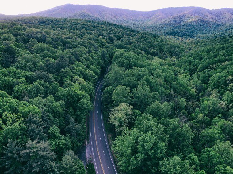 Virginia